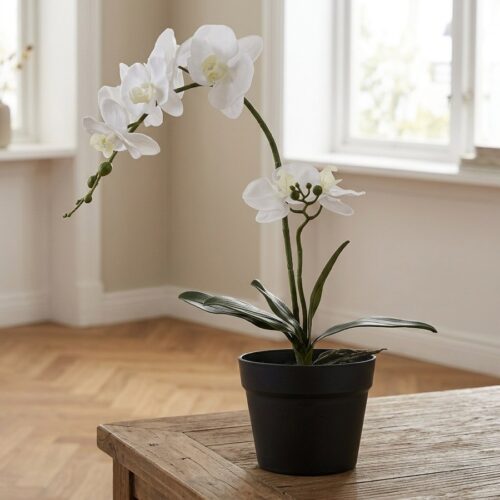 Orkidé - Kunstig Plante i Grøn/Hvid Fra House Nordic | PE Plastik - H:49 cm - Billede 1