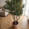 ai-miljoe-web-3-oliventr-kunstig-plante-i-gr-n-pe-plastik-fra-house-nordic-l110xb100xh Oliventræ Kunstig Plante i Grøn PE Plastik fra House Nordic | L110xB100xH220 cm - Billede 3