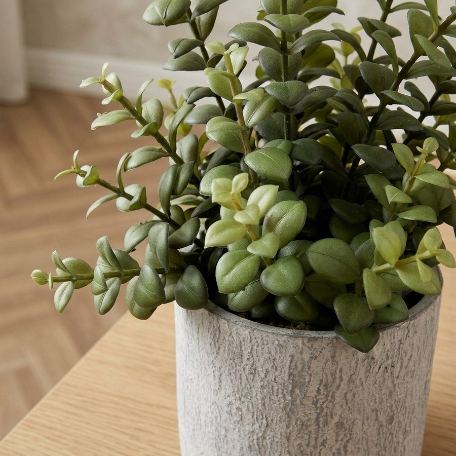 Succulent Kunstig Plante i Grøn/Grå PE Plastik med Cementpotte fra House Nordic | L24xB23xH33,5 cm - Billede 3