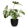 monstera-kunstig-plante-i-grn-pe-plastik-fra-house-nordic-l26xb26xh41 Monstera Kunstig Plante i Grøn PE Plastik fra House Nordic | L26xB26xH41 cm - Billede 4