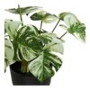 monstera-kunstig-plante-i-grn-pe-plastik-fra-house-nordic-l26xb26xh41-2 Monstera Kunstig Plante i Grøn PE Plastik fra House Nordic | L26xB26xH41 cm - Billede 5