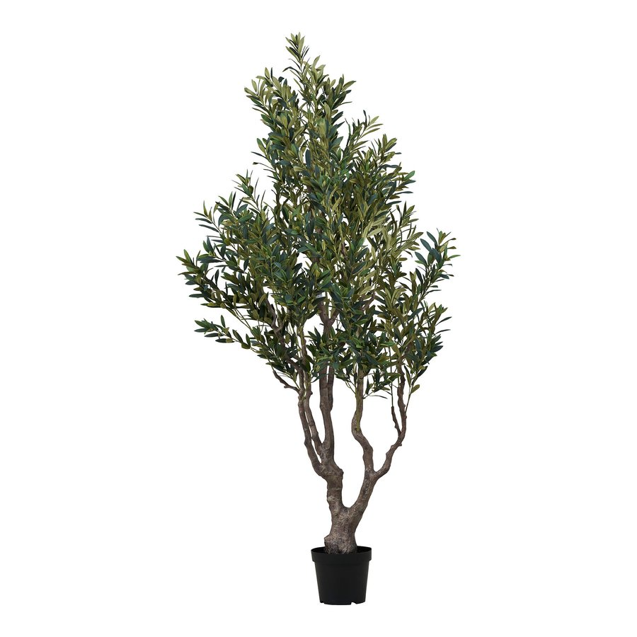 oliventr-kunstig-plante-i-grn-pe-plastik-fra-house-nordic-l110xb100xh2 Oliventræ Kunstig Plante i Grøn PE Plastik fra House Nordic | L110xB100xH220 cm - Billede 4