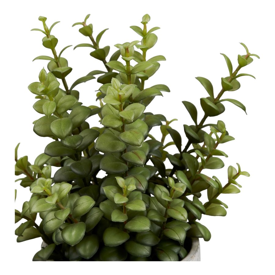 Succulent Kunstig Plante i Grøn/Grå PE Plastik med Cementpotte fra House Nordic | L24xB23xH33,5 cm - Billede 5