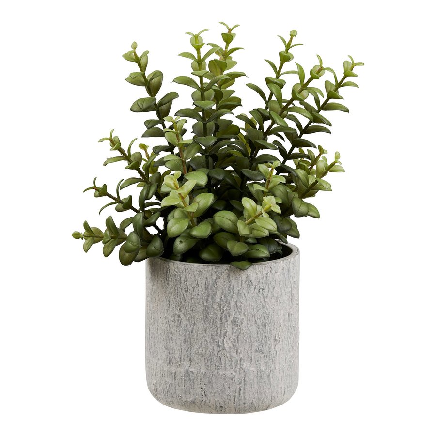 Succulent Kunstig Plante i Grøn/Grå PE Plastik med Cementpotte fra House Nordic | L24xB23xH33,5 cm - Billede 4